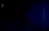 BlueShack.jpeg (8794 bytes)