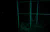DockFence3.jpeg (20562 bytes)