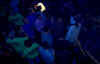Partytime.JPG (26872 bytes)